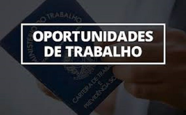 Neo oferece 270 oportunidades de emprego em SP e RJ