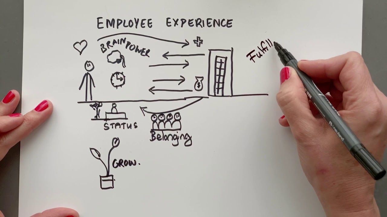 Employee experience, a nova fronteira dos recursos humanos