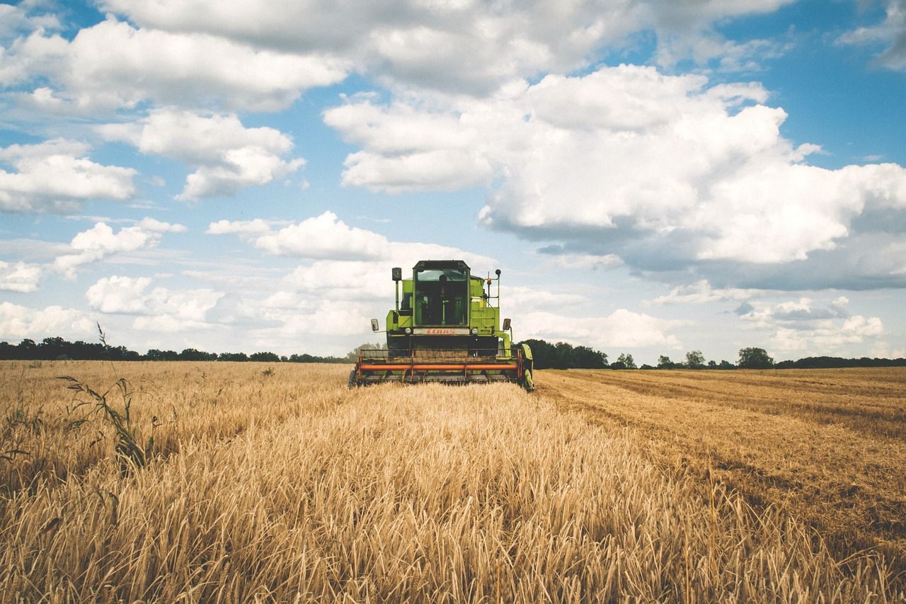 Agro aquecido no Brasil: como o controle de temperatura impacta em resultados no campo