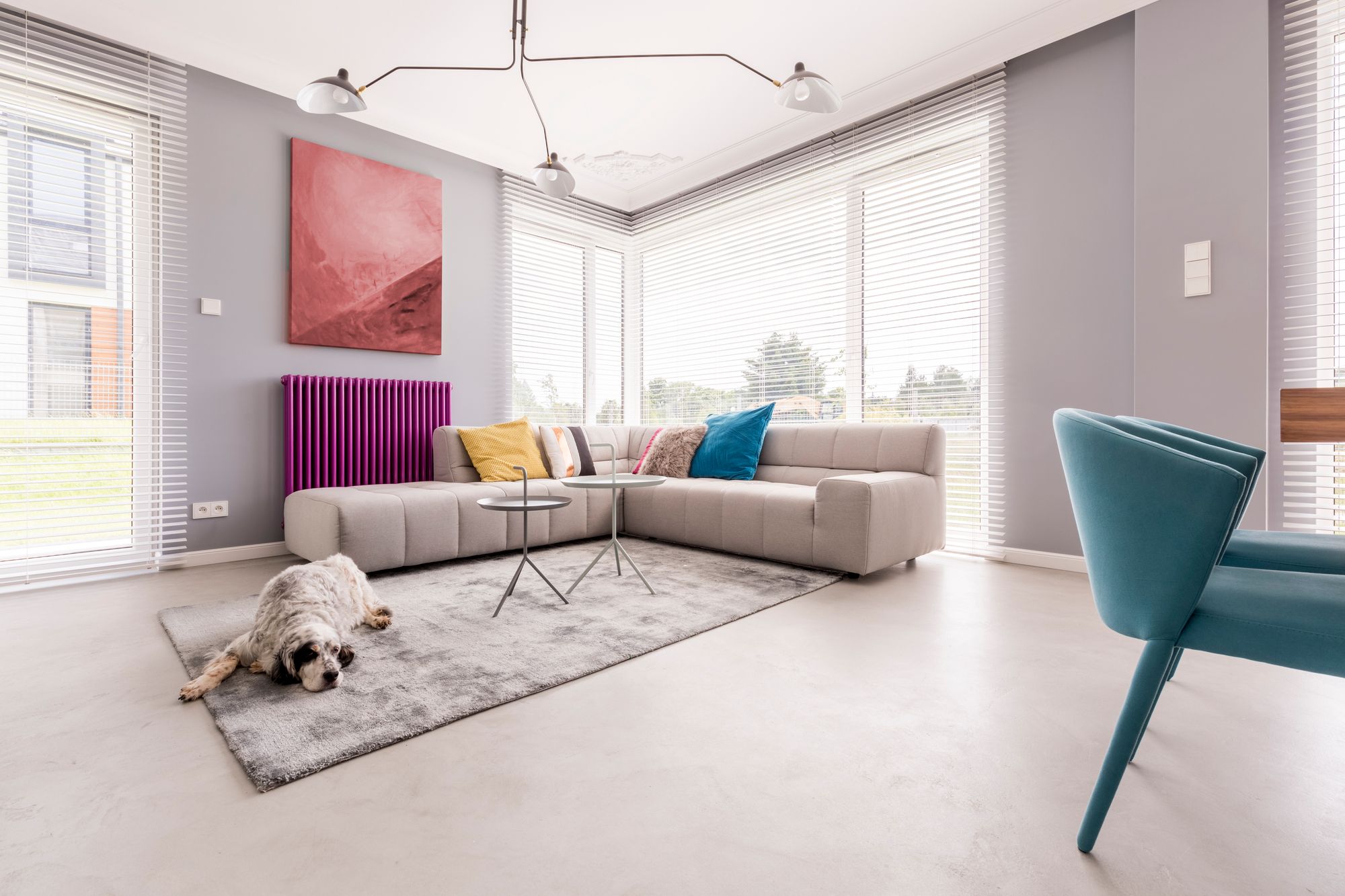 Pets em apartamento: confira dicas para ter um ambiente pet friendly